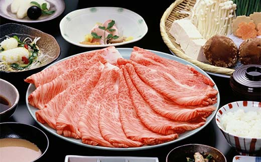 飛騨牛 A5等級 肩ロース肉 しゃぶしゃぶ用 400g 牛 肉 肩ロース ロース しゃぶしゃぶ 赤身 飛騨 F4N-1681