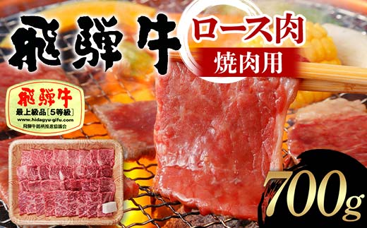 飛騨牛 A5等級 ロース肉 焼肉用 700g 牛 肉 等級 ロース 焼き肉 霜降り 飛騨 F4N-1693