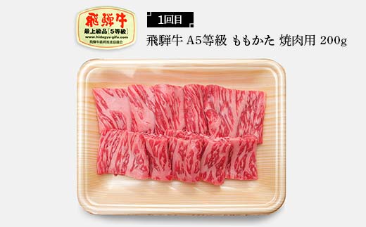 飛騨牛 A5等級 満喫 定期便 全4回 食べ比べ 200g F4N-1694