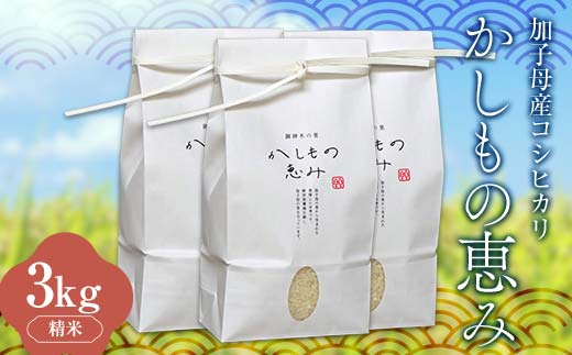 加子母産コシヒカリ「かしもの恵み」1kg×3 あなたが選ぶ日本一おいしい米コンテスト受賞米 米 精米 コシヒカリ F4N-1799