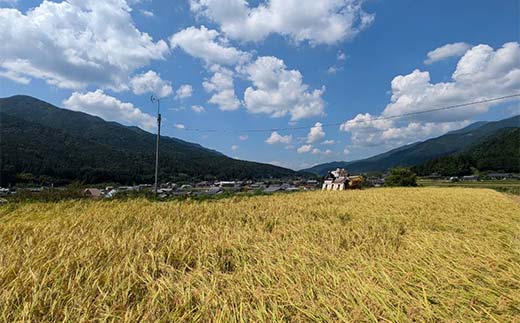 蜉蟄先ッ咲肇繧ウ繧キ繝偵き繝ェ縲後°縺励b縺ョ諱オ縺ソ縲1kgテ3 縺ゅ↑縺溘′驕ク縺カ譌・譛ャ荳縺翫>縺励>邀ウ繧ウ繝ウ繝繧ケ繝亥女雉樒アウ 邀ウ 邊セ邀ウ 繧ウ繧キ繝偵き繝ェ F4N-1799