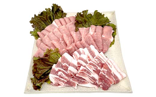 【数量限定！チルド(冷蔵)発送！】「飛騨牛Ａ5等級」＆「栗旨豚」 食べ比べセット 合計1.2kg 焼肉用 ふるさと納税 飛騨牛 栗旨豚 ブランド牛 ブランド豚 東美濃農業協同組合 F4N-1806