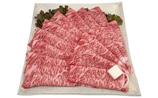 【数量限定！チルド(冷蔵)発送！】「飛騨牛Ａ5等級」＆「栗旨豚」食べ比べセット 合計1.2kg すきやき しゃぶしゃぶ用 ふるさと納税 飛騨牛 栗旨豚 東美濃農業協同組合 F4N-1807