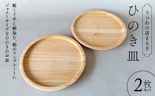 ひのき皿 2枚セット 木製 ワンプレート 桧 工芸品 木工品 おしゃれ 贈り物 プレゼント 岐阜 中津川 F4N-1809