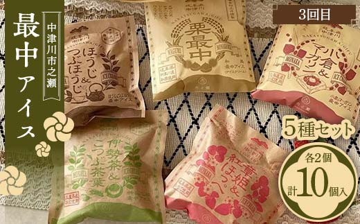 バラエティセット【年3回定期便】 定期便 アイス 市之瀬 アイスクリーム ジェラート 最中 最中アイス 贈答 家族パック バラエティパック バラエティセット 乳製品 お菓子 箱詰め セット商品 詰め合わせ デザート お試しセット F4N-1830