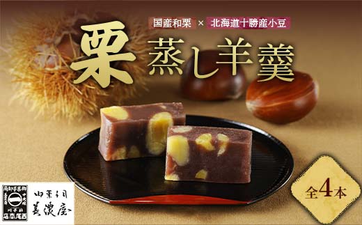 【中津川銘菓】【栗の銘菓】御菓子司美濃屋 栗蒸し羊羹 2本入り×2箱 国内特選栗使用 中津川銘菓 中津川 岐阜 和菓子 お茶菓子 お茶請け 羊羹 菓子 食品 F4N-1843