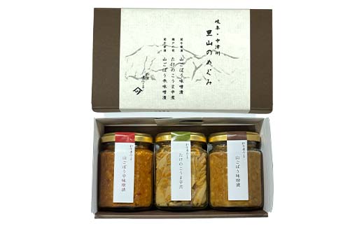 縲碁悟アア縺ョ繧√$縺ソ縲3蝠蜩∬ゥー繧∝粋繧上○ 繝、繝槭ヤ鬟溷刀 F4N-1972