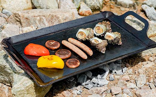 åæ¿éæ¿IIå F4N-2346