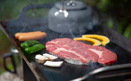 åæ¿éæ¿IIå F4N-2346