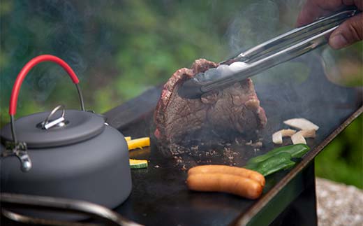 åæ¿éæ¿IIå F4N-2346