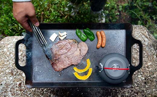 åæ¿éæ¿IIå F4N-2346