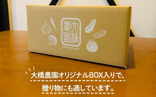 【2026年夏発送予約】生で食べられる白い宝石 中津川産プレミアム 純白とうもろこし おおもの白 4kgセット 朝採り 即日冷蔵発送 数量限定 F4N-2369