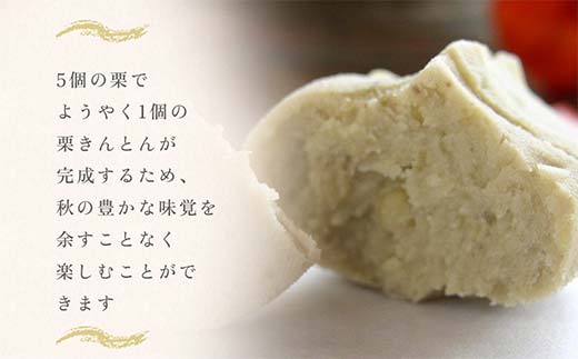 ＜御菓子司梅園＞ 栗きんとん10個 【11月お届け】 栗きんとん 和菓子 菓子 スイーツ 秋 限定 詰め合わせ 冷蔵 岐阜県 F4N-2385