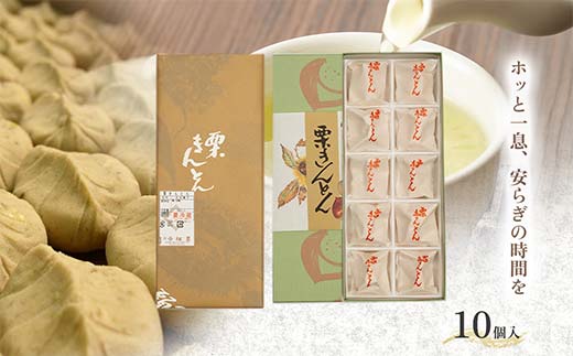 ＜御菓子司梅園＞ 栗きんとん10個 【11月お届け】 栗きんとん 和菓子 菓子 スイーツ 秋 限定 詰め合わせ 冷蔵 岐阜県 F4N-2385