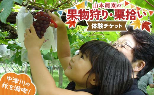 果物狩り、栗拾い体験チケット 山本農園 体験 体験チケット チケット F4N-2516