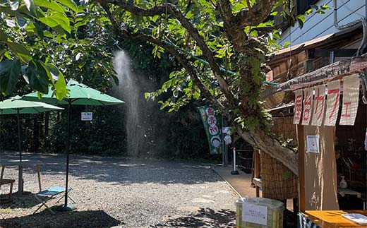 果物狩り、栗拾い体験チケット 山本農園 体験 体験チケット チケット F4N-2516