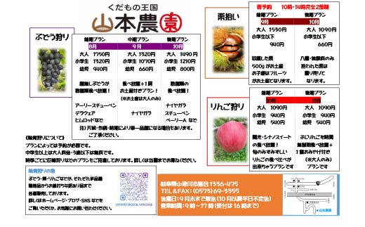 果物狩り、栗拾い体験チケット 山本農園 体験 体験チケット チケット F4N-2516