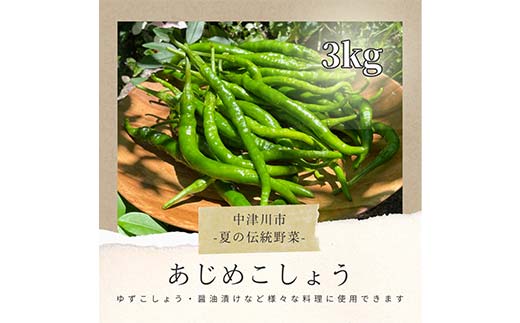 【飛騨・美濃伝統野菜】【数量限定】2026年予約販売 爽やかな辛味 青唐辛子 あじめこしょう 中津川産 3kg F4N-2569