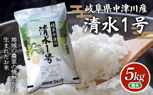 岐阜県中津川産 お米 清水1号 5Kg 米 お米 コメ ごはん ご飯 食品 F4N-2738