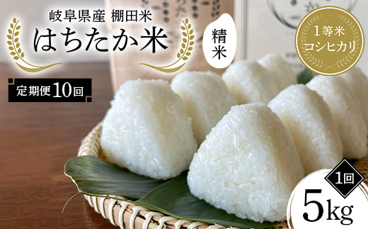 【10回定期便】岐阜県産 棚田米 1等米コシヒカリ はちたか米 精米5kg F4N-2584