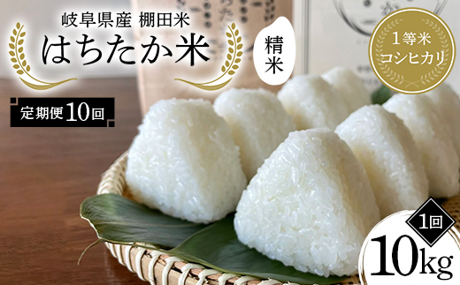 【10回定期便】岐阜県産 棚田米 1等米コシヒカリ はちたか米 精米10kg（5kg×2袋） F4N-2595