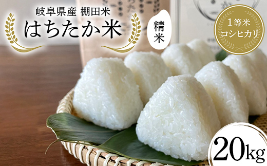 岐阜県産 棚田米 1等米コシヒカリ はちたか米 精米20kg（10kg×2袋） F4N-2598