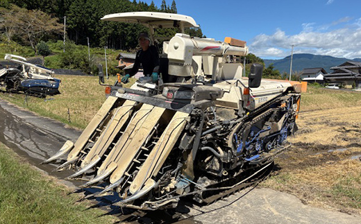 【3回定期便】岐阜県産 棚田米 1等米コシヒカリ はちたか米 精米20kg（10kg×2袋） F4N-2599