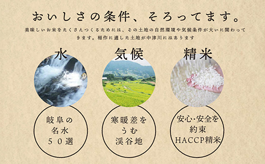 【4回定期便】岐阜県産 棚田米 1等米コシヒカリ はちたか米 精米20kg（10kg×2袋） F4N-2600