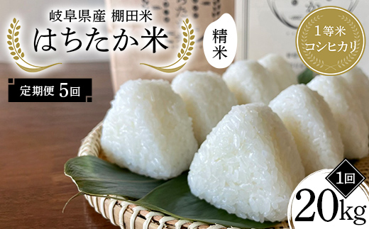 【5回定期便】岐阜県産 棚田米 1等米コシヒカリ はちたか米 精米20kg（10kg×2袋） F4N-2601