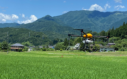 【5回定期便】岐阜県産 棚田米 1等米コシヒカリ はちたか米 精米20kg（10kg×2袋） F4N-2601
