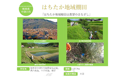 【6回定期便】岐阜県産 棚田米 1等米コシヒカリ はちたか米 精米20kg（10kg×2袋） F4N-2602