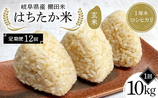 【12回定期便】岐阜県産 棚田米 1等米コシヒカリ はちたか米 玄米10kg（5kg×2袋） F4N-2639
