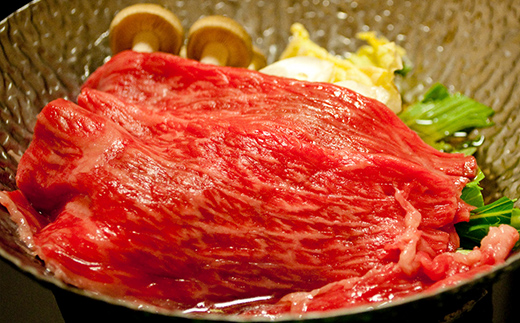 飛騨牛もも肉 すき焼き用 600g 飛騨牛 A5等級 和牛 黒毛和牛 F4N-2656