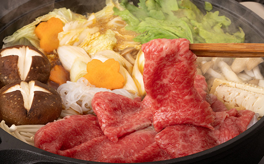 飛騨牛 もも300g・ロース300g すき焼き用 計600g 飛騨牛 A5等級 和牛 黒毛和牛 F4N-2659