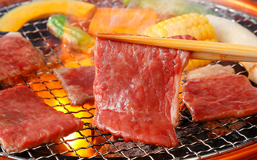 é£éššçããè çŒèçš 600g é£éššç A5ççŽ åç 黿¯åç F4N-2666