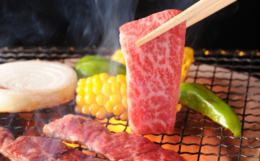 飛騨牛ロース 焼肉用 300g 飛騨牛 A5等級 和牛 黒毛和牛 F4N-2667