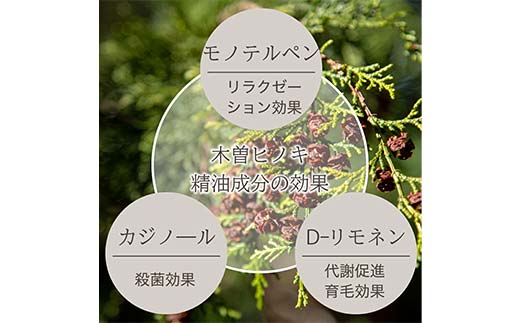 meet tree ãããããç²ãŸãã æ ãŸãã ãã㌠å¯å
· ããã ãµãããšçŽçš ã®ãã èªç¶ ã²ã®ã æ¡§ ããç² éŠ ãã¬ãŒã³ã æšã®ããã F4N-2729