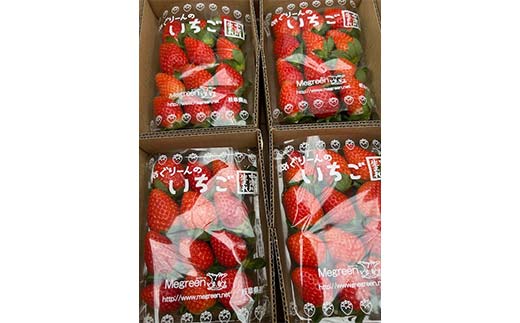 ãæ°ééå®ãç£å°çŽé!ïŒããããŒãã®å®çãã¡ãïŒç« å§«ïŒ 4ãã㯠F4N-2735