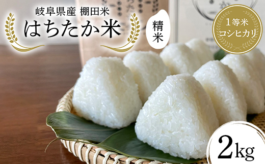 令和7年産 岐阜県産 棚田米 はちたか米 2kg F4N-2739