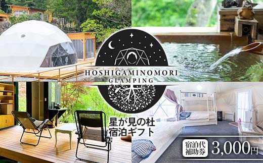 星が見の杜宿泊ギフト 宿泊代補助券（3000円） F4N-2743
