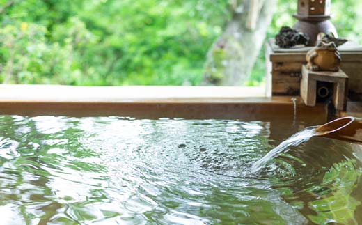 æãèŠã®æå®¿æ³ã®ãã 宿æ³ä»£è£å©åžïŒ30,000åïŒ F4N-2749