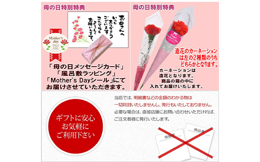 ＜老舗 くり屋南陽軒＞ 【母の日ギフト】栗きんとん 入り 市田柿 栗柿 10個入 メッセージカード 造花 カーネーション 付 F4N-2809