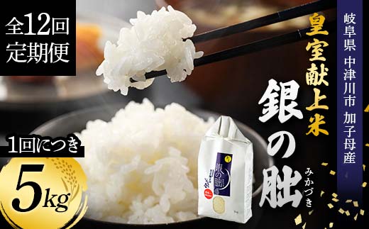 ＜テレビで紹介されました！＞令和8年産 新米【全12回定期便】皇室献上米『銀の朏』5kg 中津川市加子母産 栽培期間中化学肥料不使用 お米 新米 精米 F4N-2893