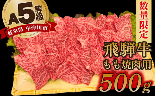 【数量限定！チルド（冷蔵）発送！】「飛騨牛」A5等級もも 500g 鉄板焼き 網焼き 焼肉 バーベキュー BBQ F4N-1238