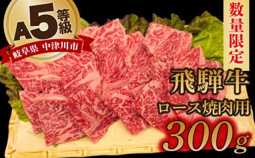 【数量限定！チルド（冷蔵）発送！】「飛騨牛」A5等級 ロース 300g 鉄板焼き 網焼き 焼肉 バーベキュー BBQ F4N-1232