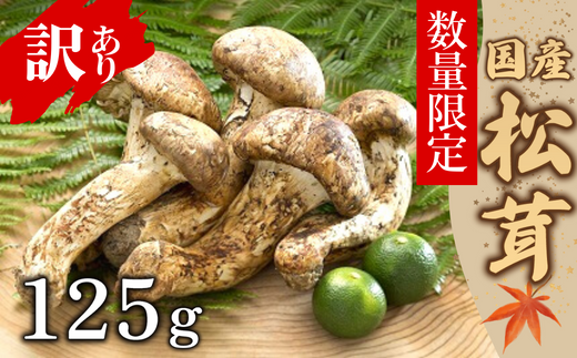 【数量限定】 天然松茸 125g 松茸ご飯、焼き松茸、土瓶蒸しなど 訳あり（簡易包装） F4N-1491