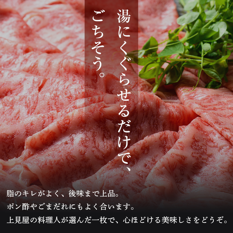 牛肉 飛騨牛 肩ロース肉 しゃぶしゃぶ用 500g 牛 肉 肩ロース ロース しゃぶしゃぶ 赤身 飛騨 F4N-0738