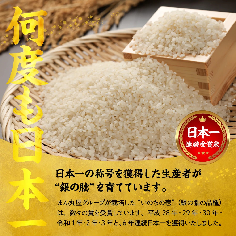 <テレビで紹介されました!>令和8年産 新米【全12回定期便】皇室献上米『銀の朏』3kg 中津川市加子母産 栽培期間中化学肥料不使用 お米 新米 精米 F4N-2891