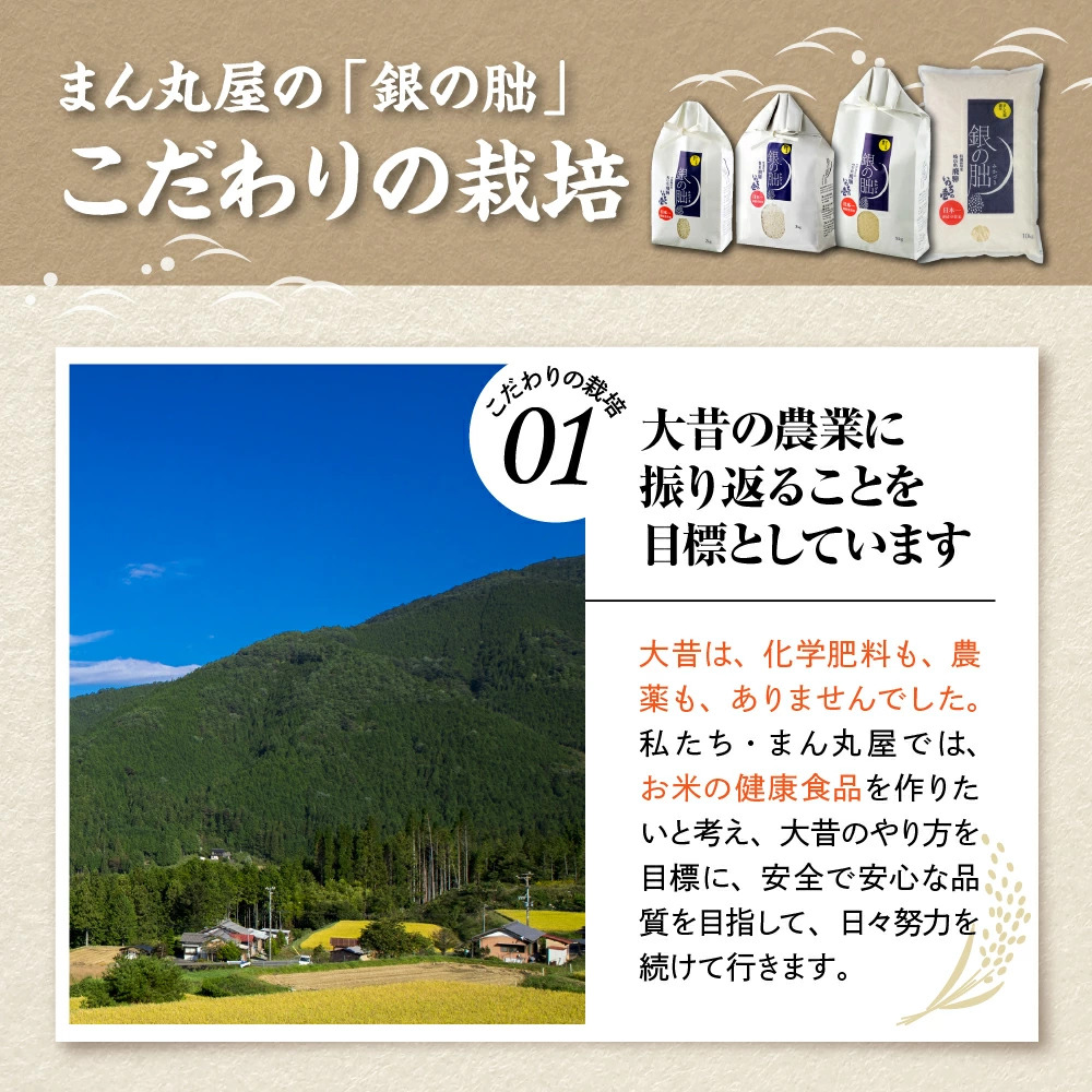 <テレビで紹介されました!>令和8年産 新米【全12回定期便】皇室献上米『銀の朏』3kg 中津川市加子母産 栽培期間中化学肥料不使用 お米 新米 精米 F4N-2891