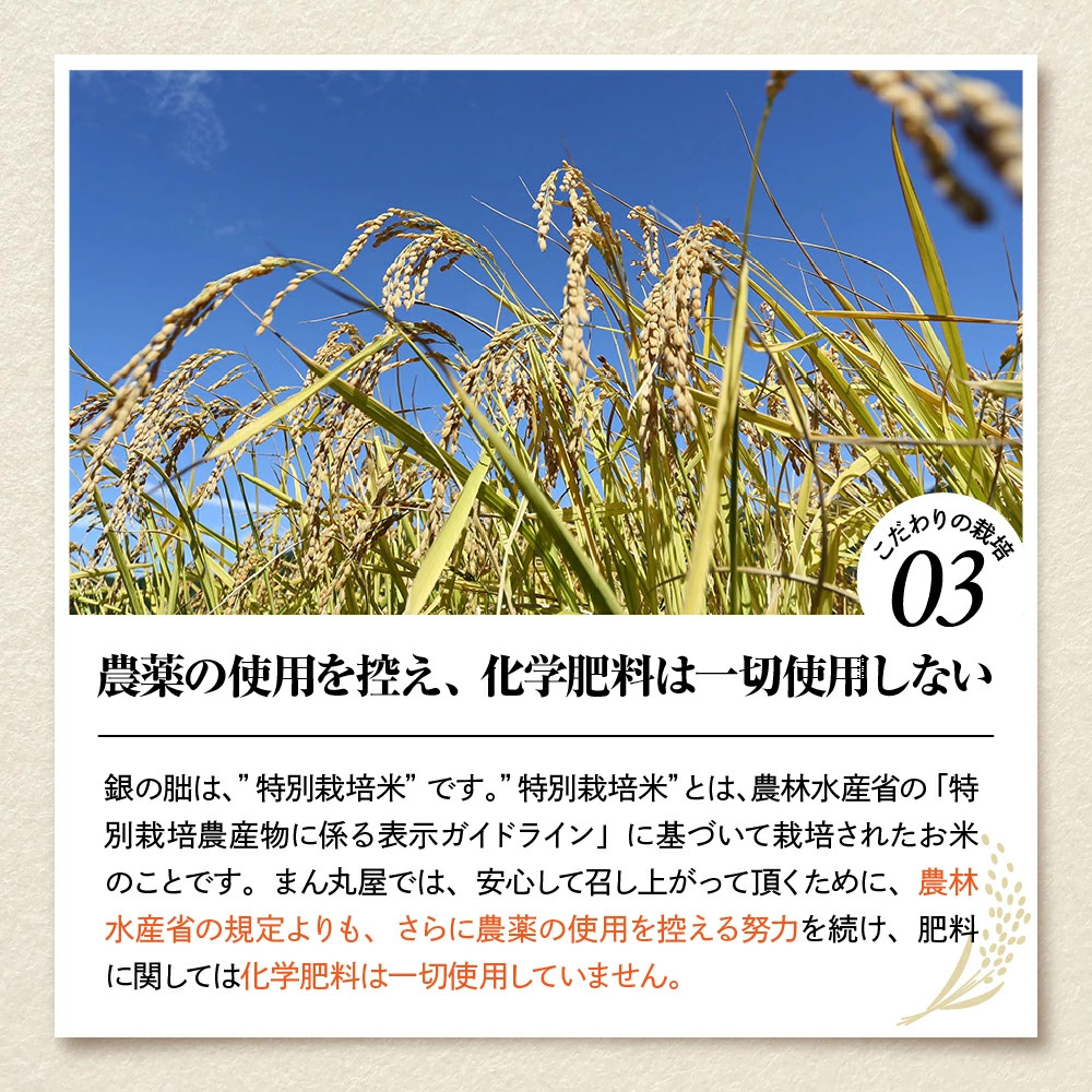 <テレビで紹介されました!>令和8年産 新米【全12回定期便】皇室献上米『銀の朏』3kg 中津川市加子母産 栽培期間中化学肥料不使用 お米 新米 精米 F4N-2891